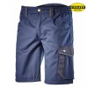 Diadora BERMUDA POLY 702.161758, Delovna oblačila, Delovne kratke hlače